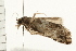  ( - 08BBLEP-02902)  @12 [ ] CreativeCommons - Attribution (2008) Unspecified Centre for Biodiversity Genomics