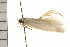  ( - 08BBLEP-02955)  @12 [ ] CreativeCommons - Attribution (2008) Unspecified Centre for Biodiversity Genomics
