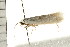  ( - 08BBLEP-02980)  @12 [ ] CreativeCommons - Attribution (2008) Unspecified Centre for Biodiversity Genomics