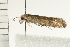  ( - 08BBLEP-03011)  @12 [ ] CreativeCommons - Attribution (2008) Unspecified Centre for Biodiversity Genomics