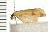  ( - 08BBLEP-03142)  @13 [ ] CreativeCommons - Attribution (2008) Unspecified Centre for Biodiversity Genomics