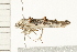  ( - 08BBLEP-03176)  @12 [ ] CreativeCommons - Attribution (2008) Unspecified Centre for Biodiversity Genomics