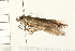  ( - 08BBLEP-03216)  @12 [ ] CreativeCommons - Attribution (2008) Unspecified Centre for Biodiversity Genomics