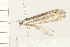  ( - 08BBLEP-03221)  @12 [ ] CreativeCommons - Attribution (2008) Unspecified Centre for Biodiversity Genomics