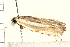  ( - 08BBLEP-03222)  @12 [ ] CreativeCommons - Attribution (2008) Unspecified Centre for Biodiversity Genomics