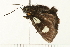  ( - 08BBLEP-03818)  @12 [ ] CreativeCommons - Attribution (2008) Unspecified Centre for Biodiversity Genomics