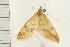  ( - 08BBLEP-03970)  @13 [ ] CreativeCommons - Attribution (2008) Unspecified Centre for Biodiversity Genomics