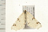  ( - 08BBLEP-03867)  @12 [ ] CreativeCommons - Attribution (2008) Unspecified Centre for Biodiversity Genomics