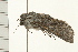  ( - 08BBLEP-03873)  @12 [ ] CreativeCommons - Attribution (2008) Unspecified Centre for Biodiversity Genomics
