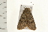 ( - 08BBLEP-03899)  @12 [ ] CreativeCommons - Attribution (2008) Unspecified Centre for Biodiversity Genomics