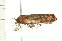  ( - 08BBLEP-03363)  @12 [ ] CreativeCommons - Attribution (2008) Unspecified Centre for Biodiversity Genomics
