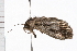  ( - 08BBLEP-05325)  @12 [ ] CreativeCommons - Attribution (2009) Unspecified Centre for Biodiversity Genomics
