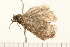  ( - 08BBLEP-04525)  @12 [ ] CreativeCommons - Attribution (2009) Unspecified Centre for Biodiversity Genomics