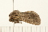  ( - 08BBLEP-04615)  @12 [ ] CreativeCommons - Attribution (2009) Unspecified Centre for Biodiversity Genomics