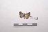  ( - LEPANT20-199)  @11 [ ] Copyright (2021) Nicolas Moulin Research Collection of Nicolas Moulin