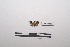  ( - LEPANT20-210)  @11 [ ] Copyright (2021) Nicolas Moulin Research Collection of Nicolas Moulin