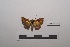  ( - LEPANT20-214)  @11 [ ] Copyright (2021) Nicolas Moulin Research Collection of Nicolas Moulin