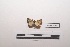  ( - LEPANT20-231)  @11 [ ] Copyright (2021) Nicolas Moulin Research Collection of Nicolas Moulin