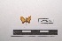  ( - LEPANT20-257)  @11 [ ] Copyright (2021) Nicolas Moulin Research Collection of Nicolas Moulin