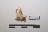  ( - LEPANT20-369)  @11 [ ] Copyright (2021) Nicolas Moulin Research Collection of Nicolas Moulin