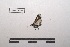  ( - LEPANT20-037)  @11 [ ] Copyright (2020) Nicolas Moulin Research Collection of Nicolas Moulin