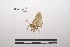 ( - LEPANT20-041)  @11 [ ] Copyright (2020) Nicolas Moulin Research Collection of Nicolas Moulin