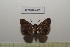  ( - LEPANT20-505)  @11 [ ] Copyright (2023) Nicolas Moulin Research Collection of Nicolas Moulin