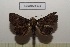  ( - LEPANT20-510)  @11 [ ] Copyright (2023) Nicolas Moulin Research Collection of Nicolas Moulin