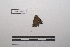  ( - LEPANT20-059)  @11 [ ] Copyright (2020) Nicolas Moulin Research Collection of Nicolas Moulin