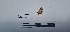  ( - LEPANT20-678)  @11 [ ] Copyright (2024) Nicolas Moulin Research Collection of Nicolas Moulin