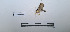  ( - LEPANT20-730)  @11 [ ] Copyright (2024) Nicolas Moulin Research Collection of Nicolas Moulin