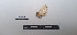  ( - LEPANT20-736)  @11 [ ] Copyright (2024) Nicolas Moulin Research Collection of Nicolas Moulin