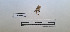  ( - LEPANT20-740)  @11 [ ] Copyright (2024) Nicolas Moulin Research Collection of Nicolas Moulin