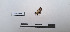  ( - LEPANT20-742)  @11 [ ] Copyright (2024) Nicolas Moulin Research Collection of Nicolas Moulin