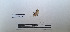  ( - LEPANT20-743)  @11 [ ] Copyright (2024) Nicolas Moulin Research Collection of Nicolas Moulin