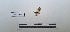  ( - LEPANT20-744)  @11 [ ] Copyright (2024) Nicolas Moulin Research Collection of Nicolas Moulin
