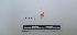 ( - LEPANT20-756)  @11 [ ] Copyright (2024) Nicolas Moulin Research Collection of Nicolas Moulin