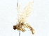  ( - BIOUG79401-D08)  @11 [ ] CreativeCommons - Attribution (2022) CBG Photography Group Centre for Biodiversity Genomics