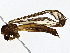  ( - BIOUG79401-E01)  @11 [ ] CreativeCommons - Attribution (2022) CBG Photography Group Centre for Biodiversity Genomics