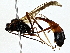  ( - BIOUG79402-B01)  @11 [ ] CreativeCommons - Attribution (2022) CBG Photography Group Centre for Biodiversity Genomics