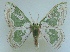  ( - KLM Lep 04278)  @14 [ ] CreativeCommons  Attribution Non-Commercial Share-Alike (2015) Christian Wieser Landesmuseum Kärnten