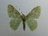  ( - KLM Lep 04288)  @11 [ ] CreativeCommons  Attribution Non-Commercial Share-Alike (2015) Christian Wieser Landesmuseum Kärnten