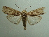  ( - KLM Lep 05701)  @13 [ ] CreativeCommons  Attribution Non-Commercial Share-Alike (2016) Christian Wieser Landesmuseum Kärnten