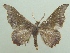  ( - KLM Lep 06792)  @14 [ ] CreativeCommons  Attribution Non-Commercial Share-Alike (2017) Christian Wieser Landesmuseum Kärnten