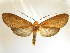  ( - BEVI2036)  @11 [ ] By-SA Creative Common (2020) Benoît Vincent Unspecified