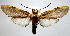  ( - BEVI2100)  @11 [ ] CreativeCommons - Attribution Non-Commercial Share-Alike (2007) B. Vincent Unspecified
