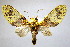  ( - BEVI2101)  @11 [ ] CreativeCommons - Attribution Non-Commercial Share-Alike (2007) B. Vincent Unspecified