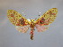  ( - BEVI2189)  @11 [ ] No Rights Reserved (2020) Benoit VINCENT Unspecified