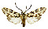  ( - MILA 2261)  @11 [ ] CreativeCommons - Attribution Non-Commercial Share-Alike (2007) M. Laguerre Unspecified