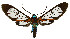  ( - MILA 2267)  @11 [ ] CreativeCommons - Attribution Non-Commercial Share-Alike (2007) M. Laguerre Unspecified